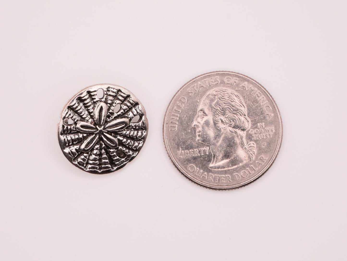 Sand Dollar Sea Urchin Realistic Metal Button 19mm