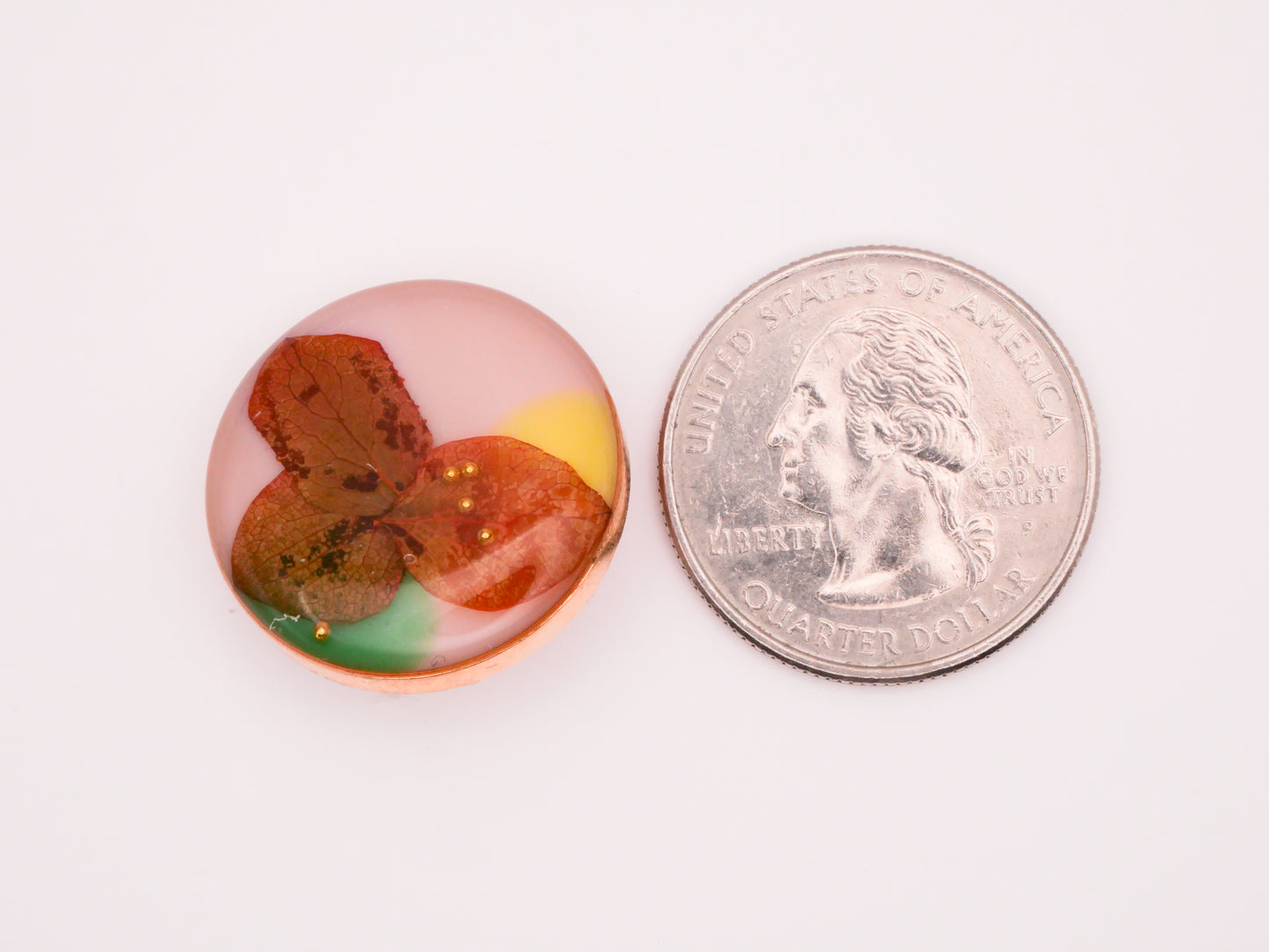 Habitat Like Real Leaves Gold Edge Pink Green Resin Plastic Button 23mm