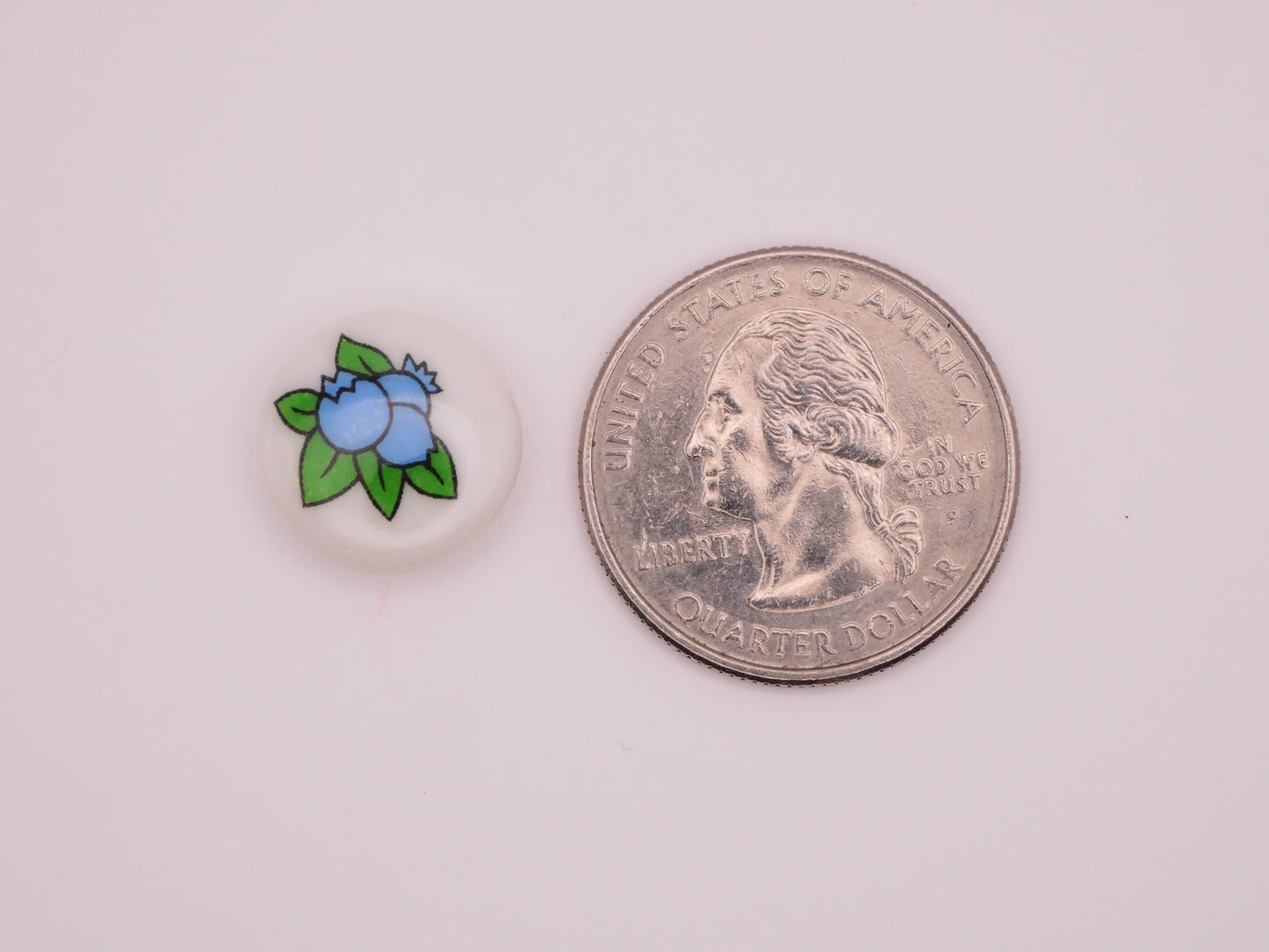 Blueberries Berry Leaves Vintage Plastic Button 15mm