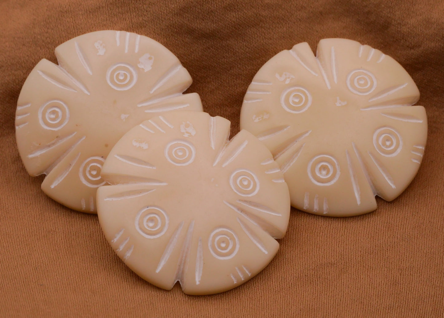 Sand Dollar Fossil Vintage Plastic Button 30mm