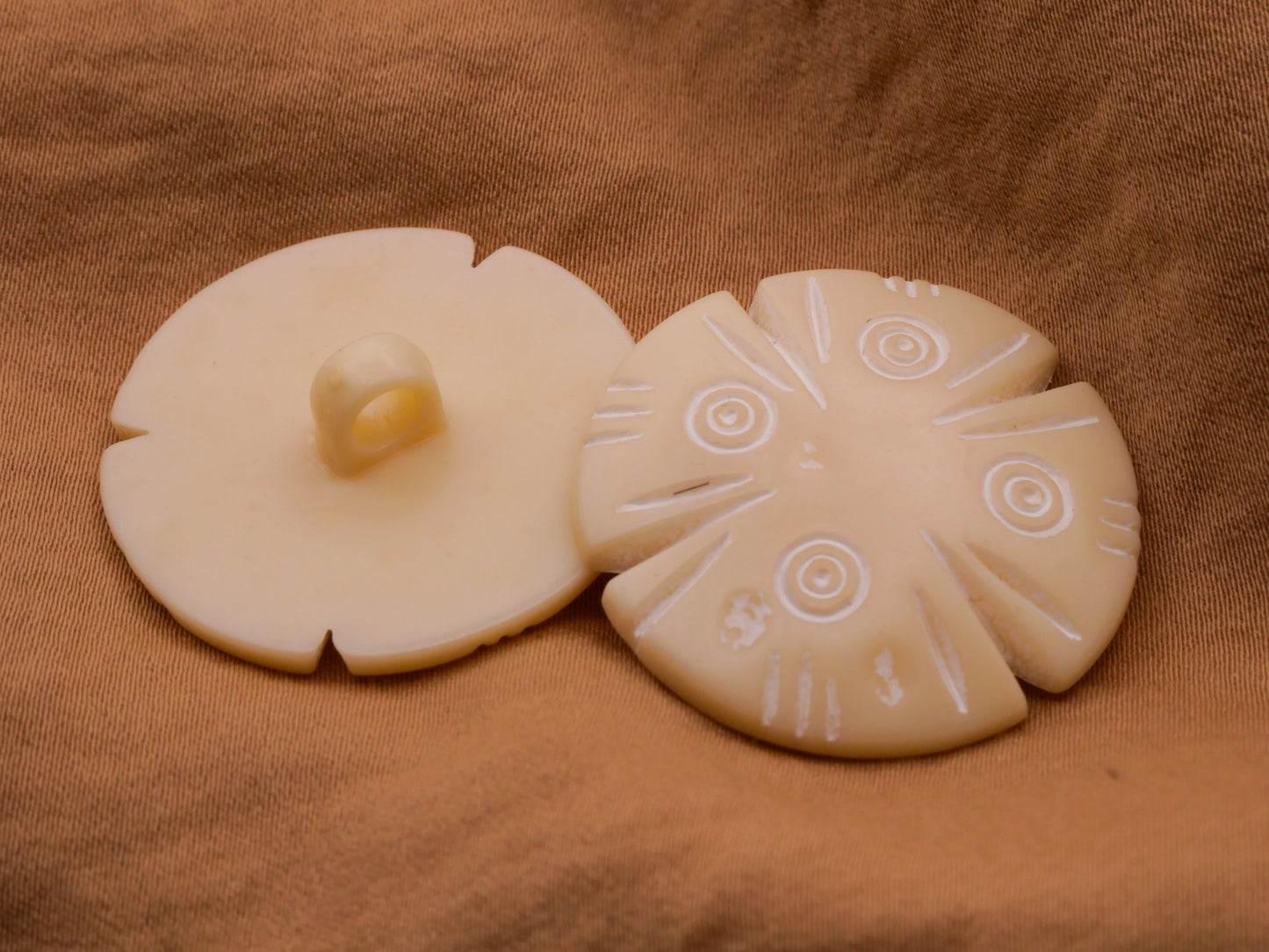 Sand Dollar Fossil Vintage Plastic Button 30mm