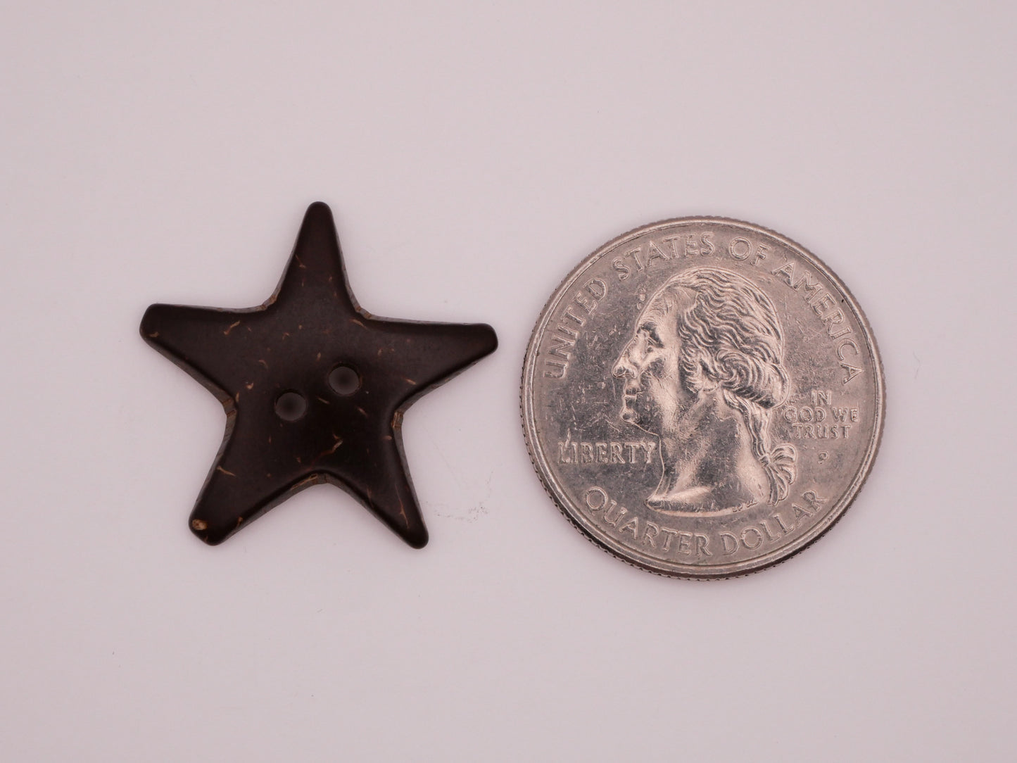 Star Starfish Coconut Shell Set of Five Buttons 24mm