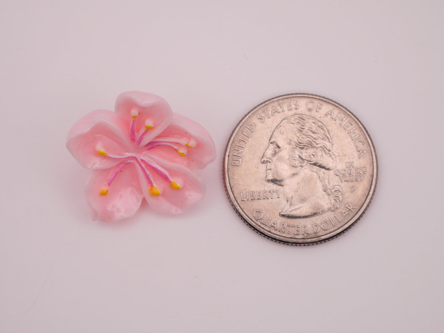 Hibiscus Flower Pale Pink Plastic Set of Two Buttons 21x23mm