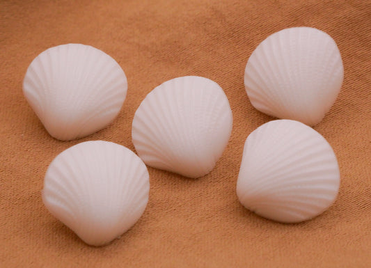 Shell White Plastic Set of Five Buttons 13mm