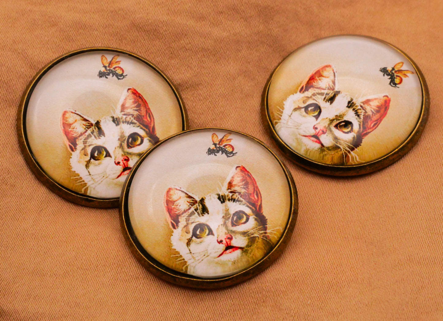 Cat Bee Vintage Illustration Glass Dome Bronze Metal Button 28mm