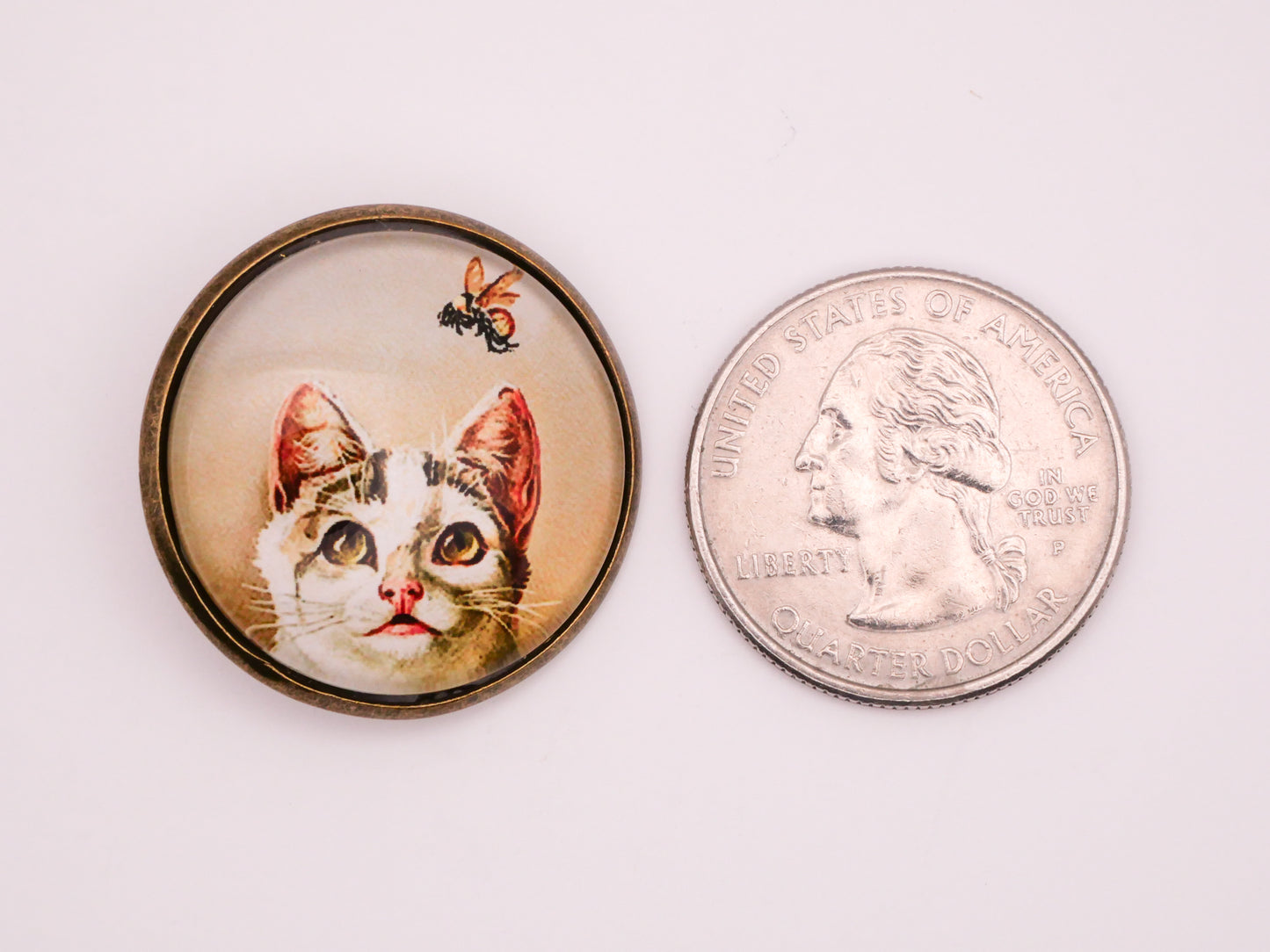 Cat Bee Vintage Illustration Glass Dome Bronze Metal Button 28mm