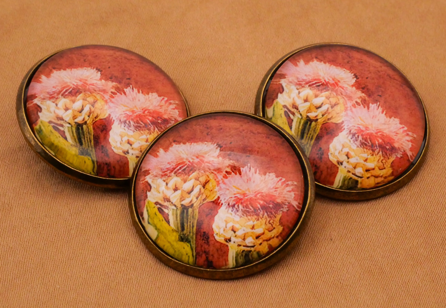 Thistle Painting Illustration Glass Dome Bronze Metal Button 28mm