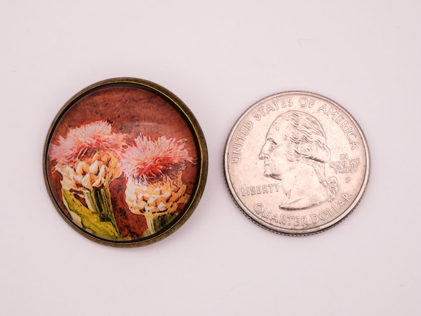 Thistle Painting Illustration Glass Dome Bronze Metal Button 28mm