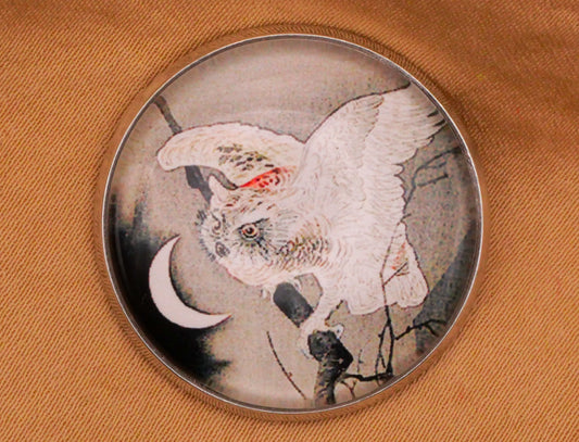 Owl Crescent Moon Asian Art Glass Dome Silver Metal Button 27mm