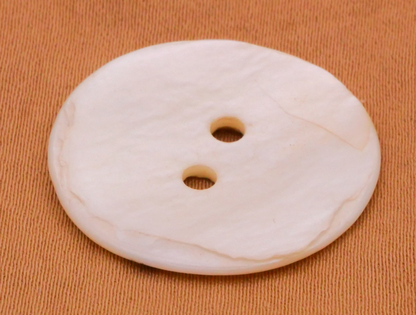 Owl Bird Branch Mother of Pearl Button 25mm