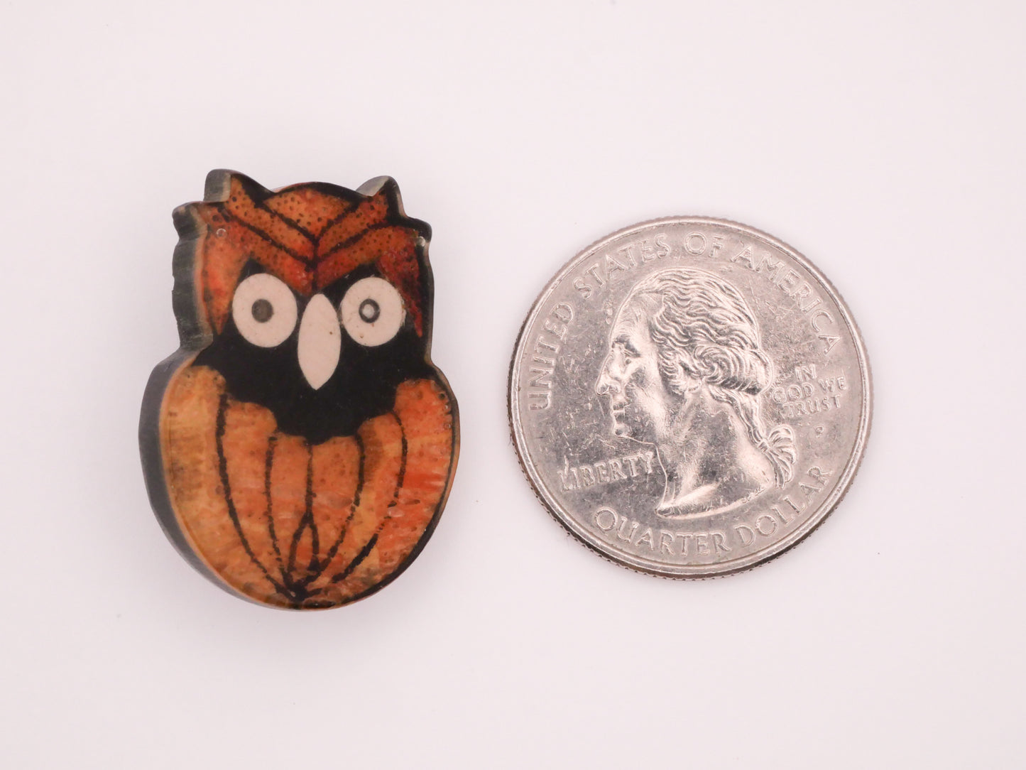 Owl Bird Pumpkin Texture Resin Plastic Vintage Button 22x27mm