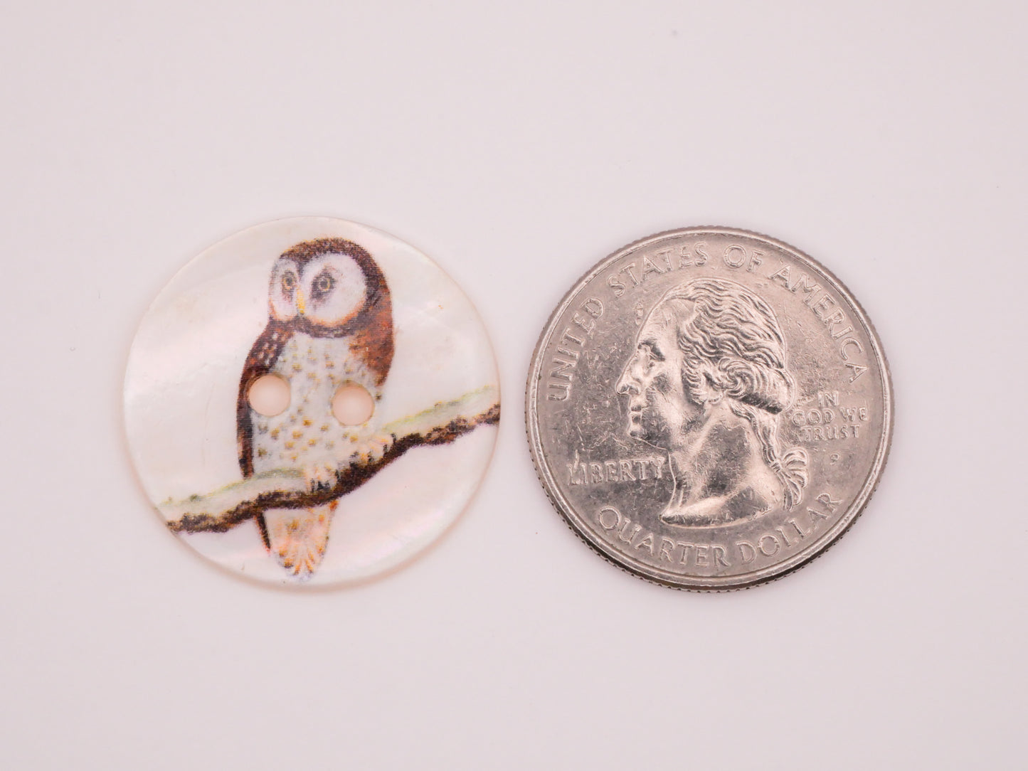Owl Bird Branch Mother of Pearl Button 25mm