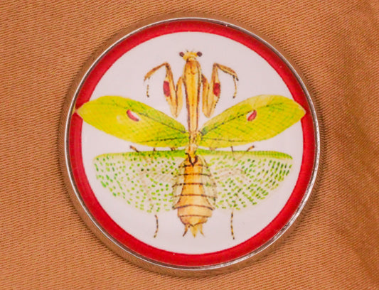 Praying Mantis Insect Green Red Dome Glass Silver Metal Button 27mm