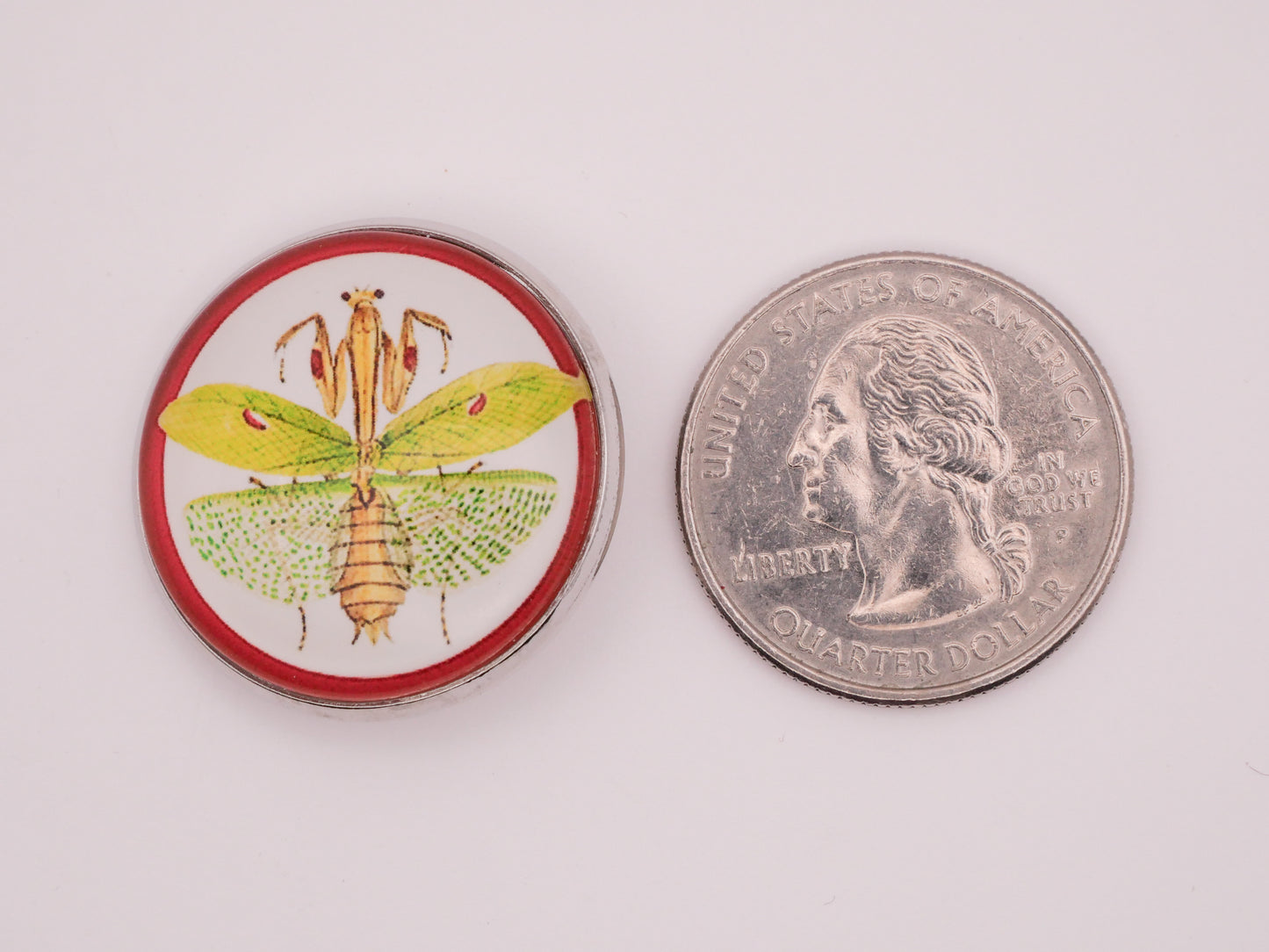 Praying Mantis Insect Green Red Dome Glass Silver Metal Button 27mm