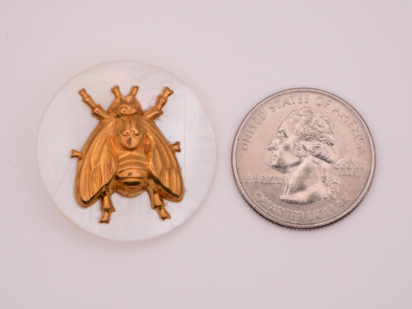 Bee Stamped Brass Mother of Pearl Button 30mm