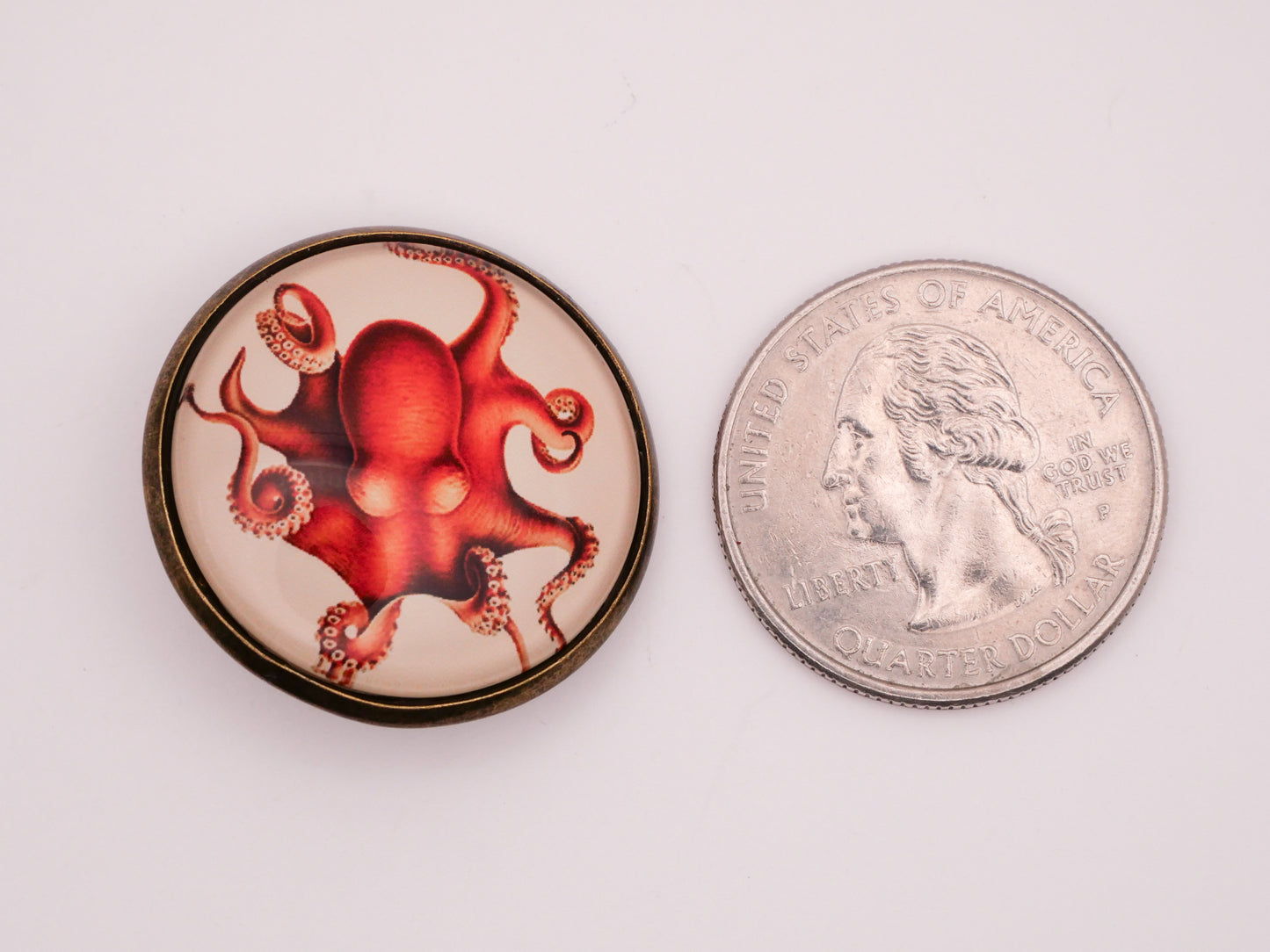 Octopus Vintage Illustration Glass Dome Bronze Metal Button 28mm