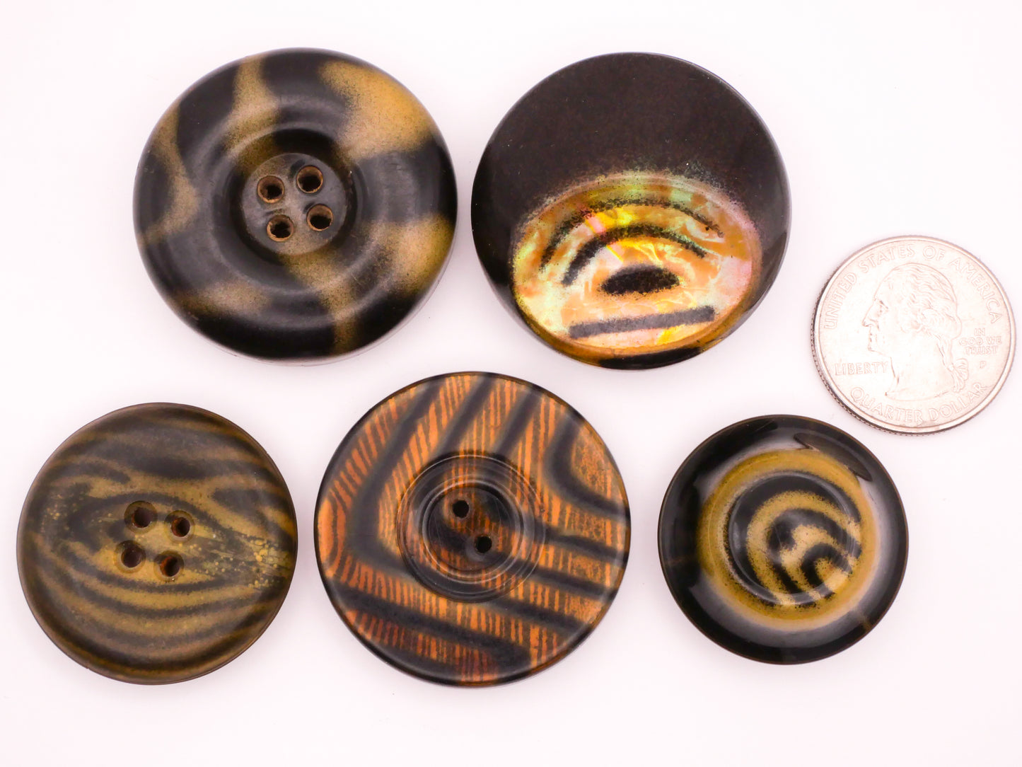 Tribal Stripe Celluloid Tight Top Glow Bubble Black Tan Plastic Button Various 29-38mm