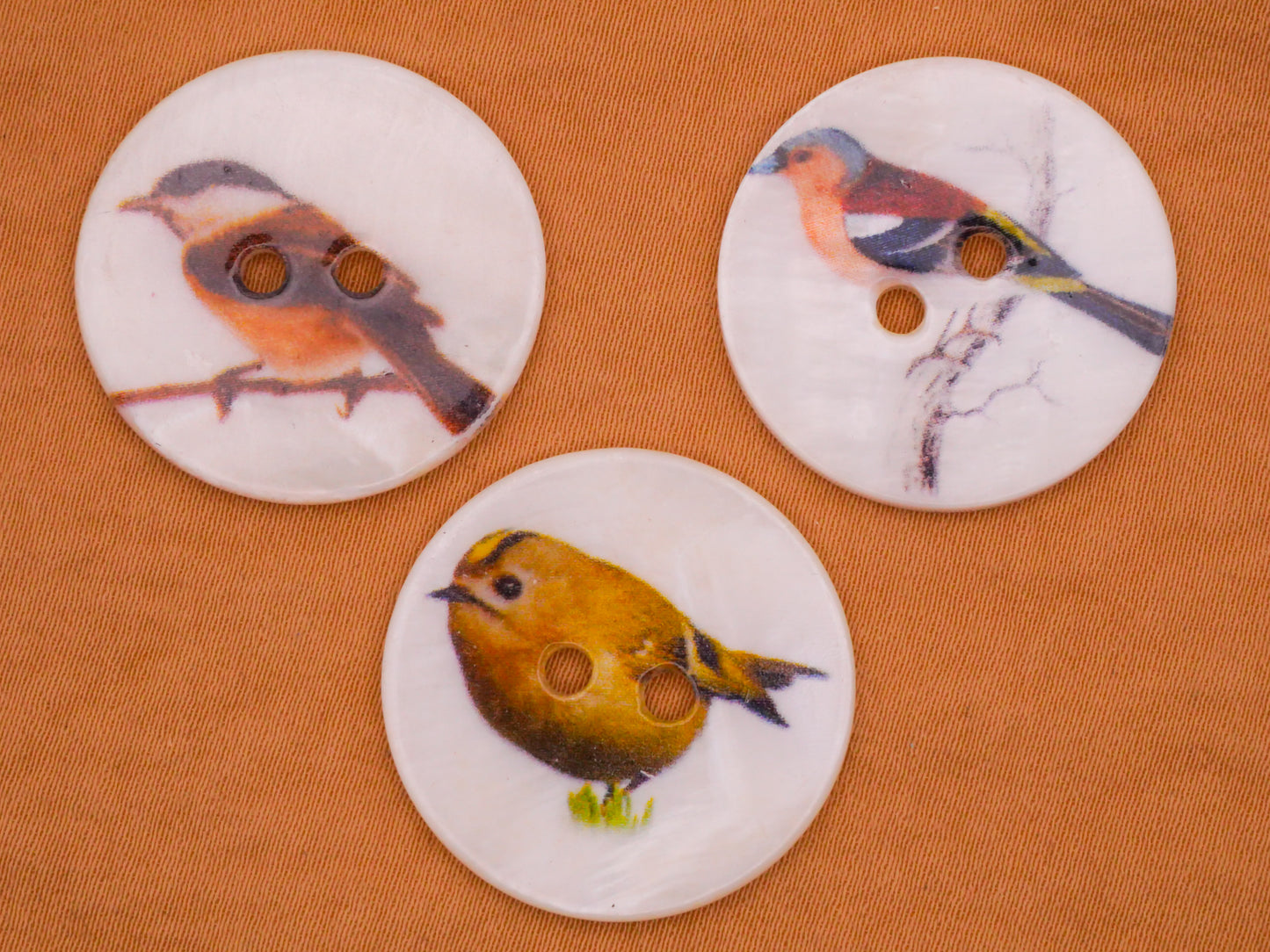 Bird Fall Color Birds Mother of Pearl Set of Three Buttons 25mm