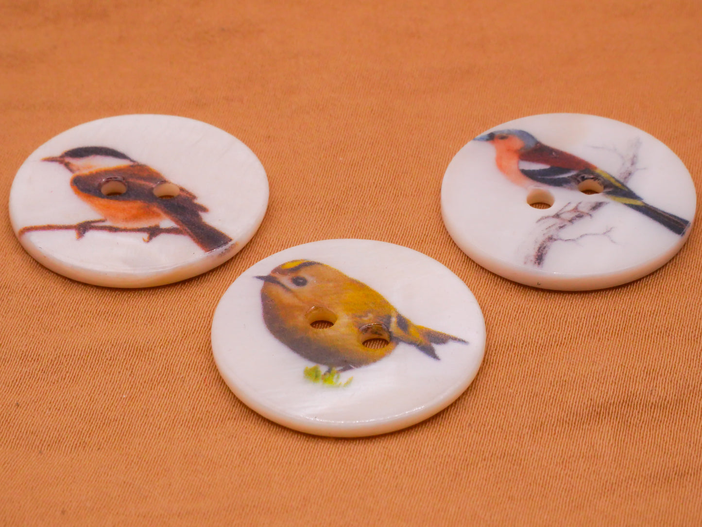 Bird Fall Color Birds Mother of Pearl Set of Three Buttons 25mm