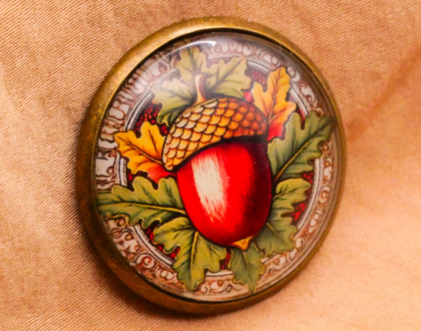 Acorn Leaves Glass Dome Bronze Metal Button 28mm