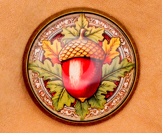 Acorn Leaves Glass Dome Bronze Metal Button 28mm