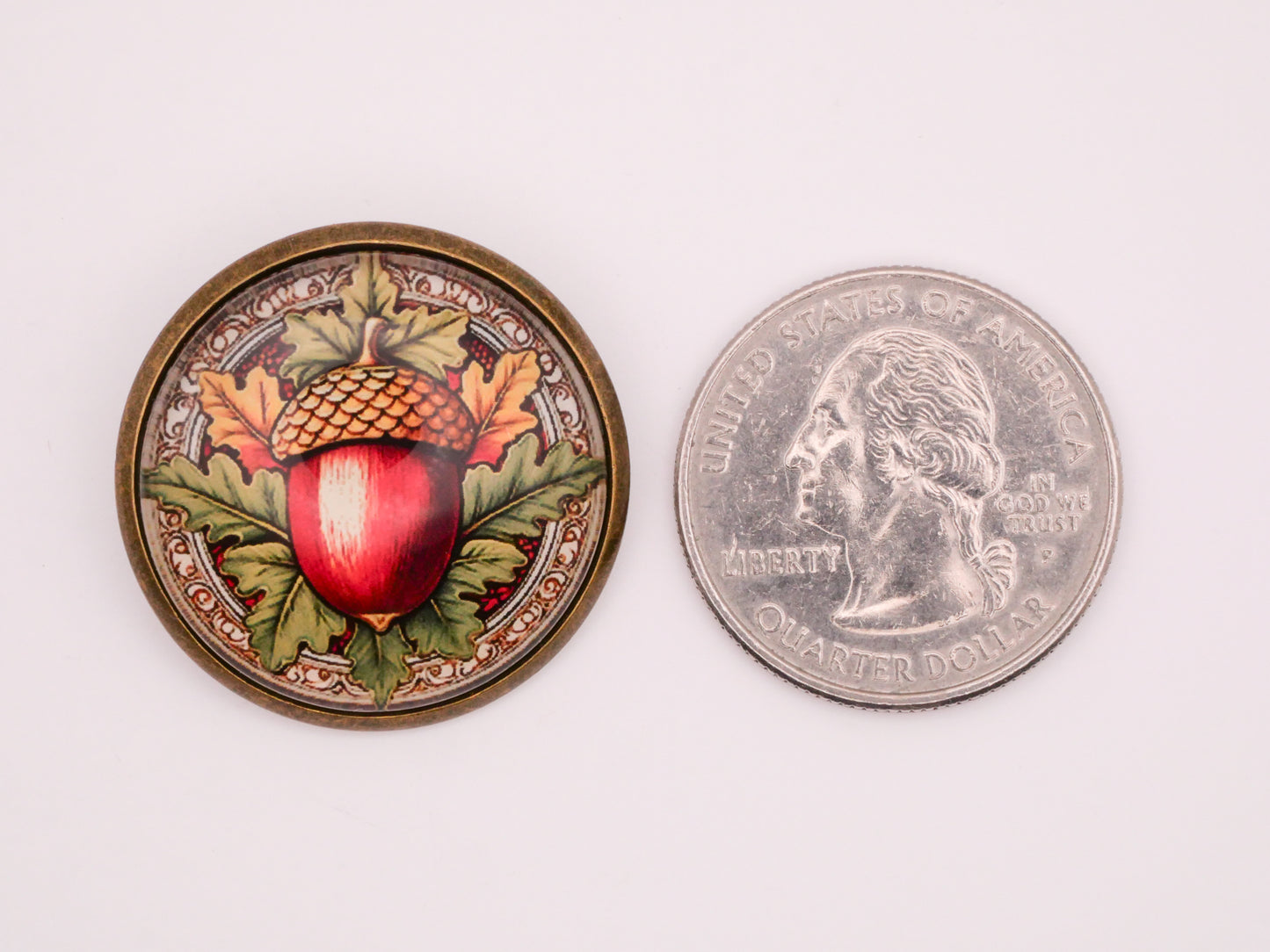 Acorn Leaves Glass Dome Bronze Metal Button 28mm