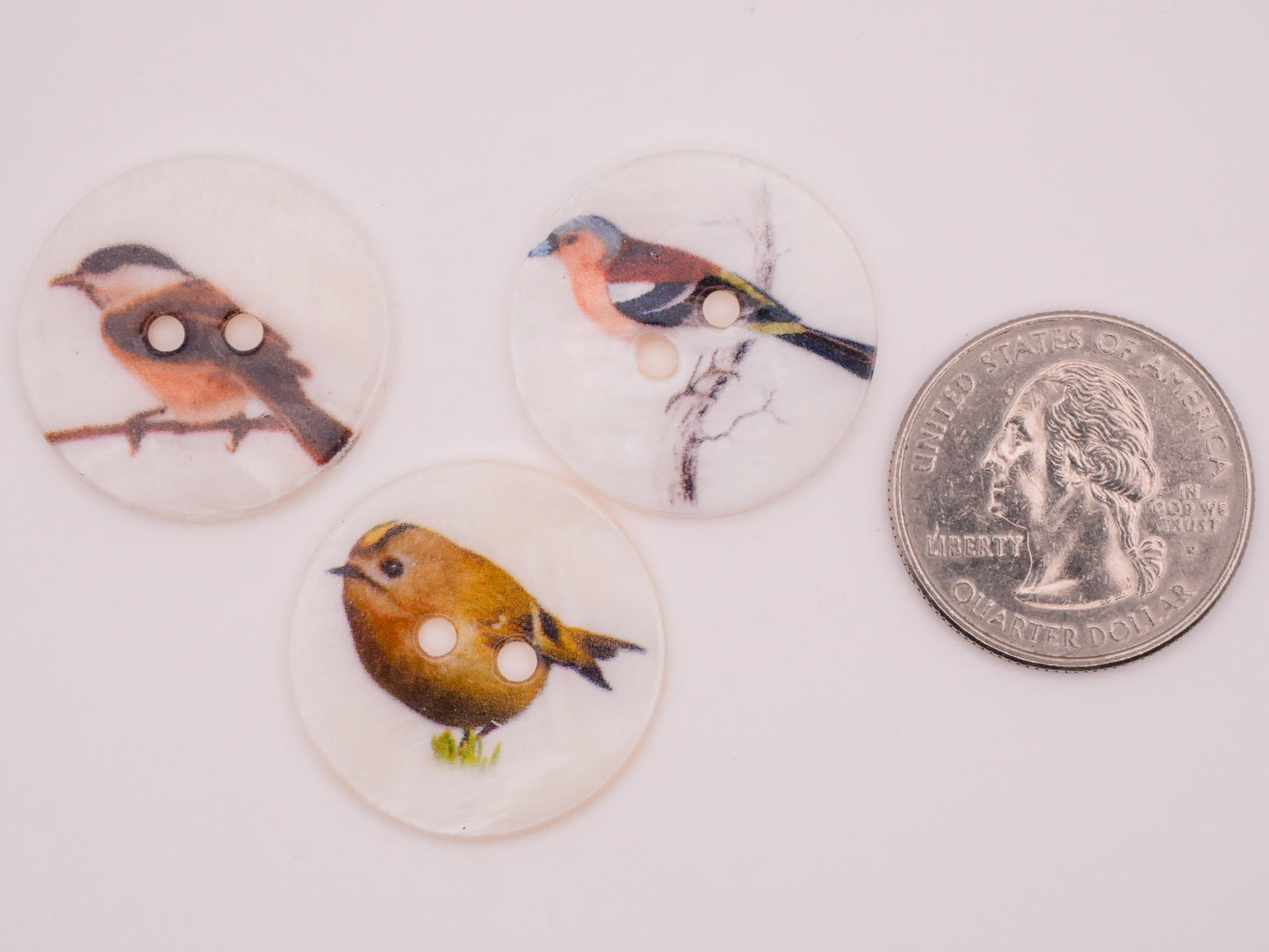 Bird Fall Color Birds Mother of Pearl Set of Three Buttons 25mm