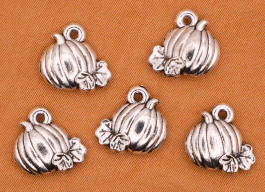 Pumpkin Patch Silver Metal Set of Five Charms 10x11mm