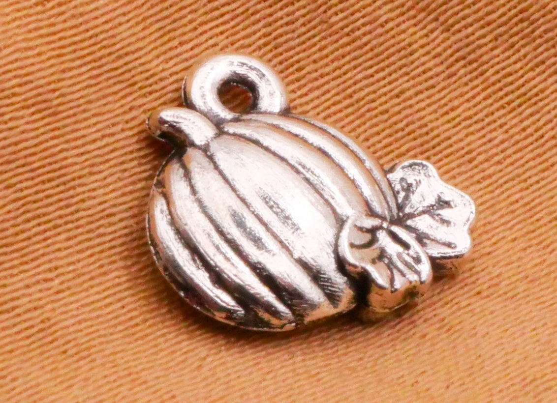 Pumpkin Patch Silver Metal Set of Five Charms 10x11mm