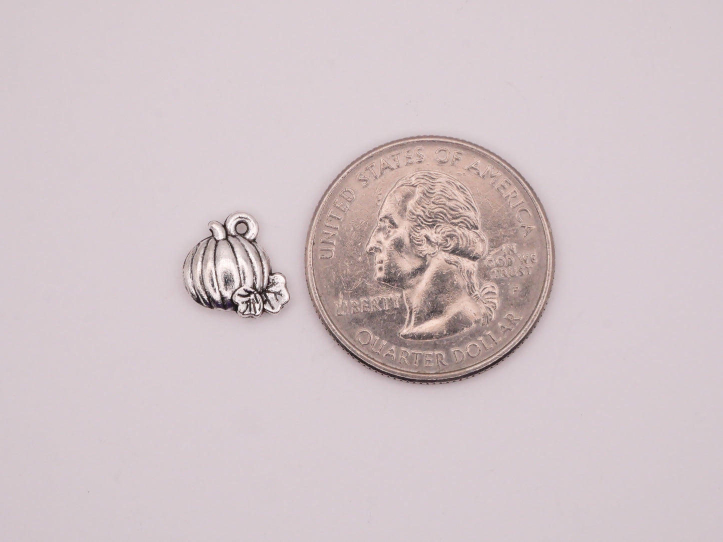 Pumpkin Patch Silver Metal Set of Five Charms 10x11mm