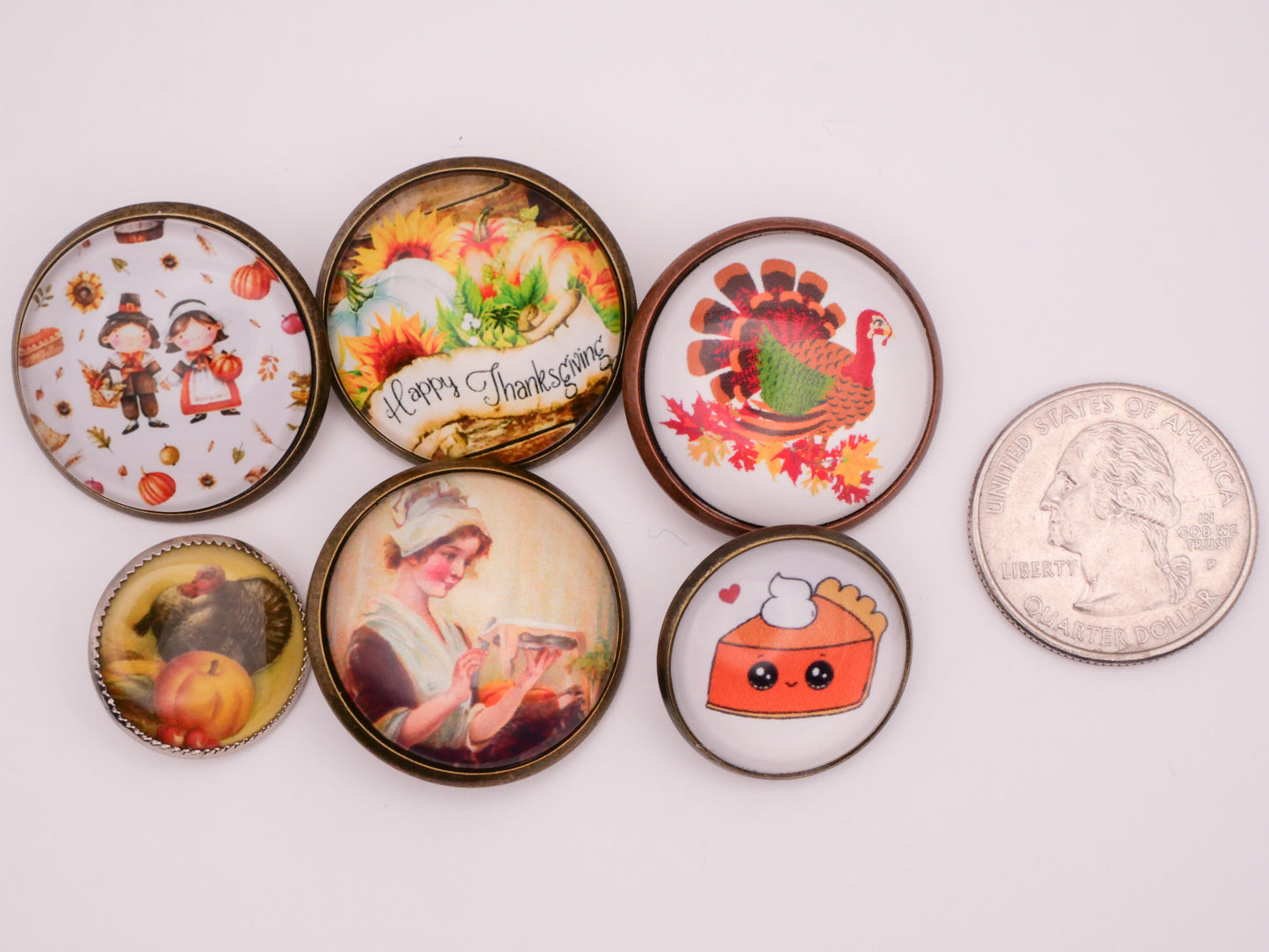 Thanksgiving Turkey Pie Verbal Glass Dome Metal Button Various 19-28mm