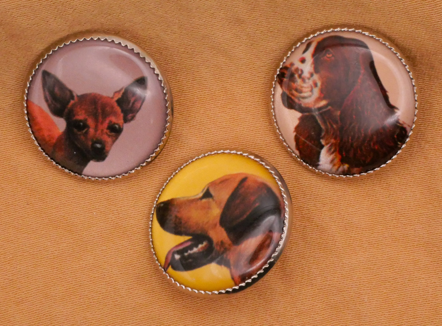 Dog Portrait Plastic Metal Button Various 19mm