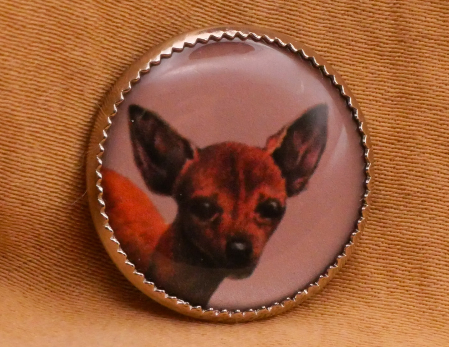 Dog Portrait Plastic Metal Button Various 19mm