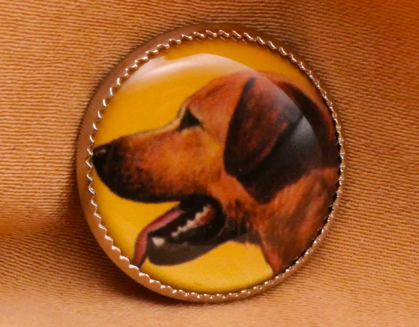 Dog Portrait Plastic Metal Button Various 19mm