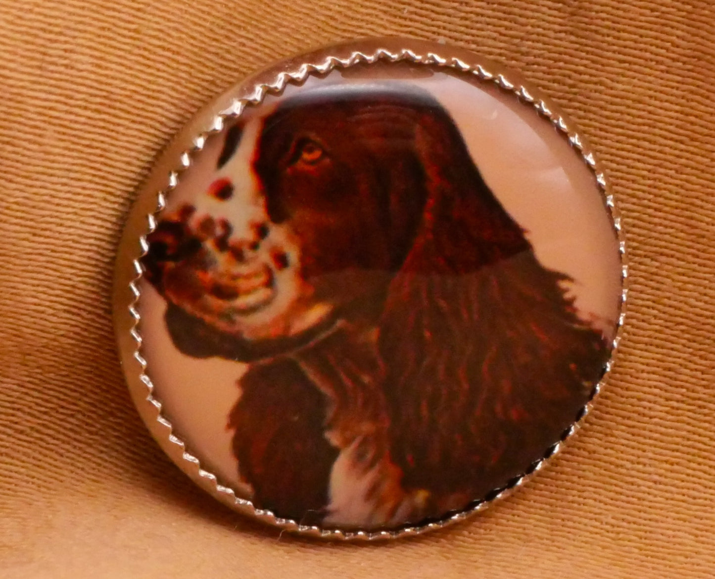 Dog Portrait Plastic Metal Button Various 19mm