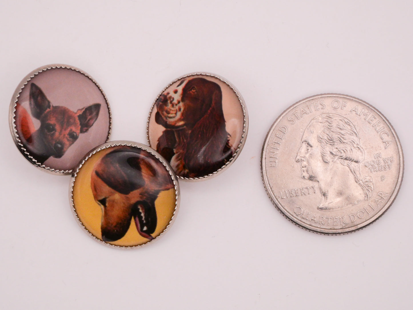 Dog Portrait Plastic Metal Button Various 19mm