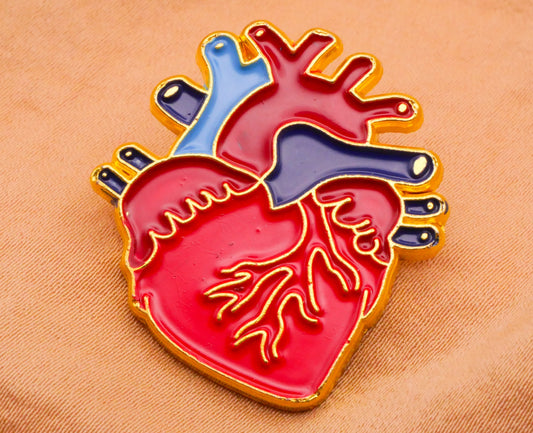 Heart Anatomical Realistic Enamel Metal Button 27x30mm