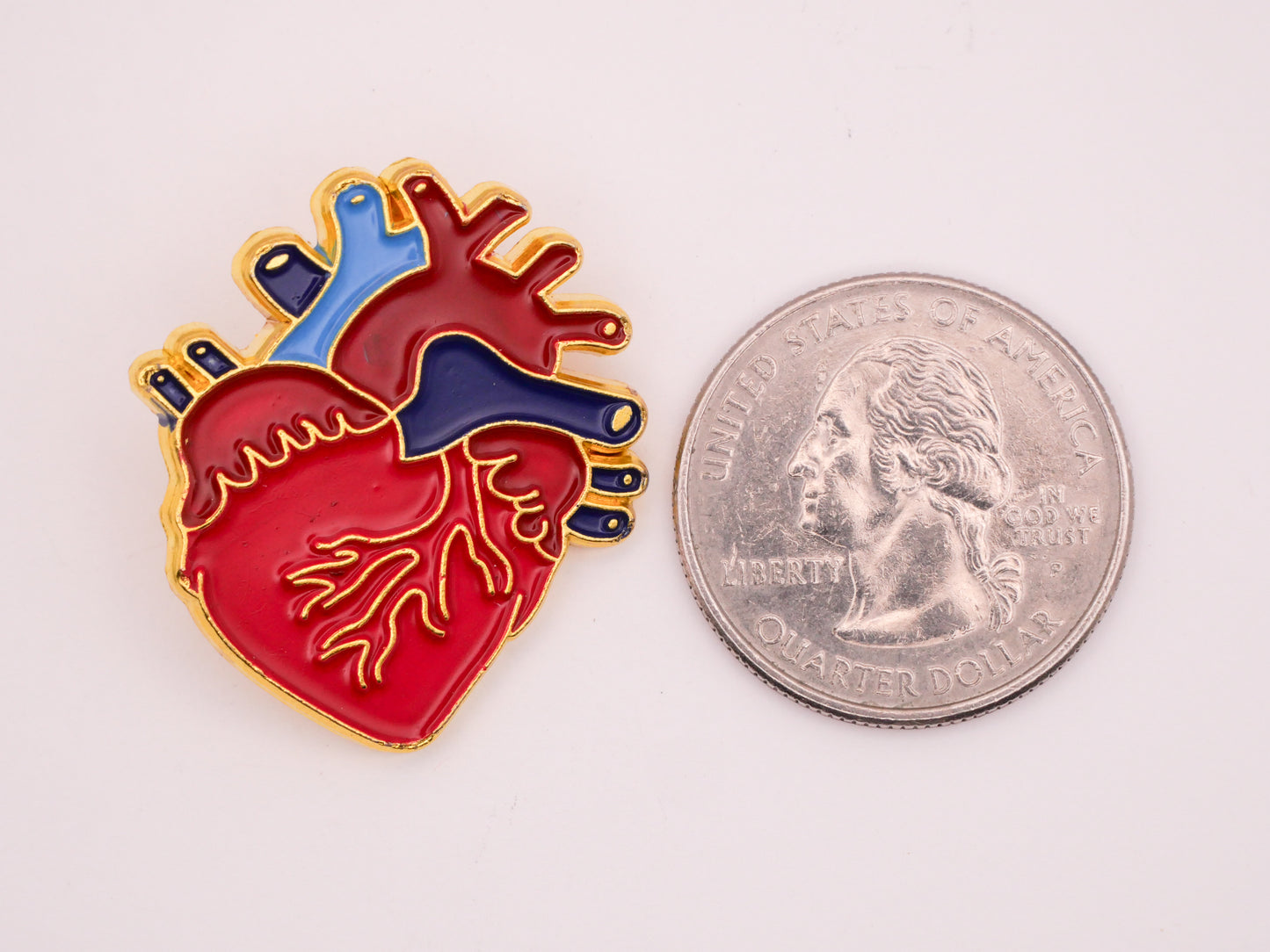 Heart Anatomical Realistic Enamel Metal Button 27x30mm