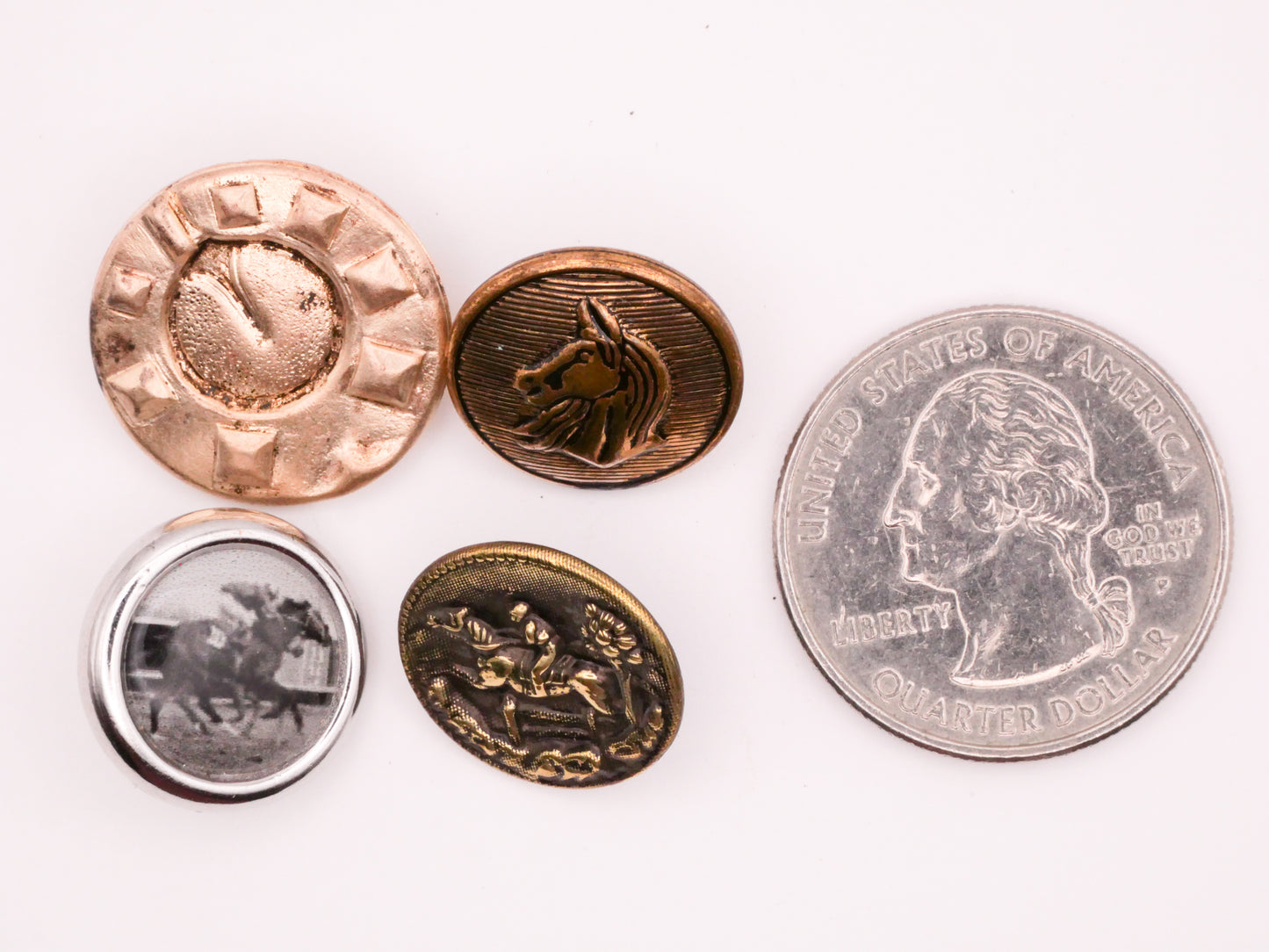 Horse Horseshoe Race Vintage Metal Button Various 16-19mm