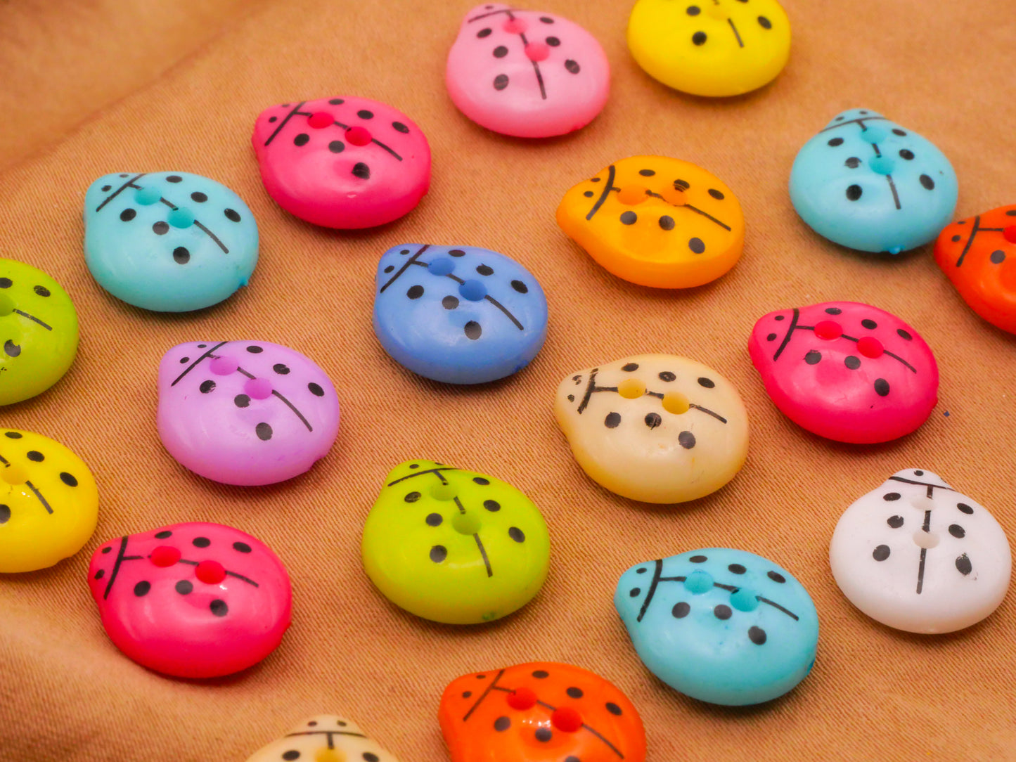 Ladybug Ladybird Colorful Plastic Set of Twenty Buttons 12x14mm