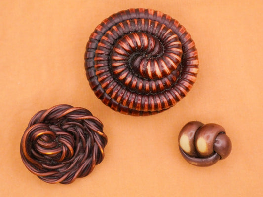 Extruded Brown Celluloid Early Plastic Button Various 15-34mm