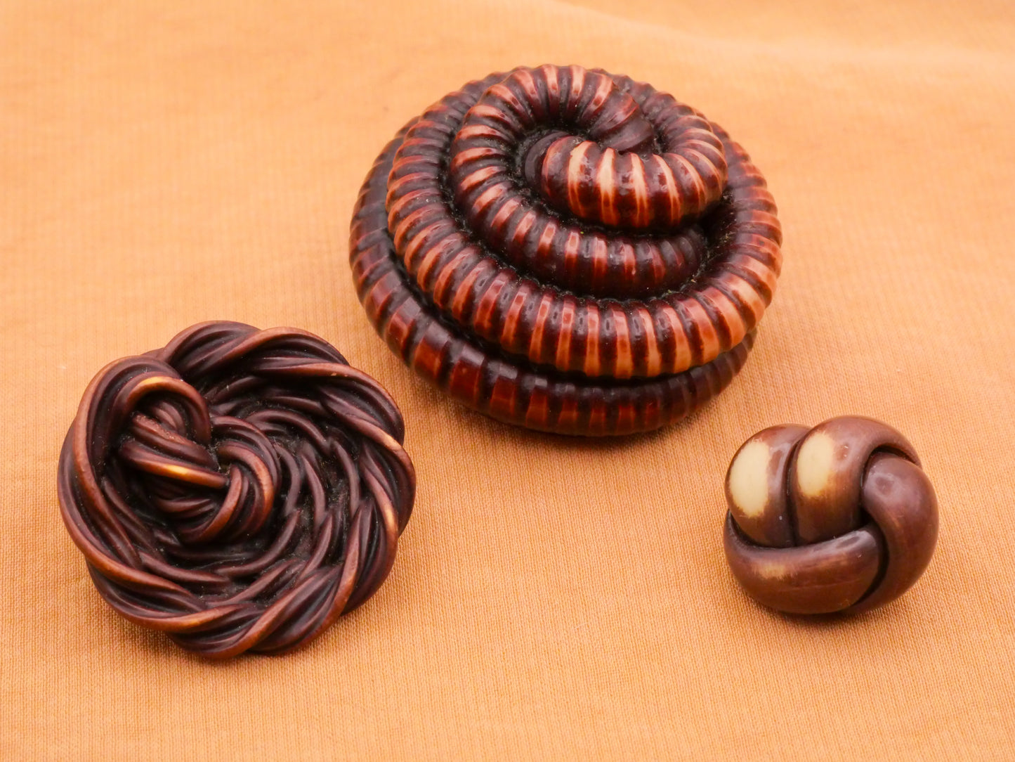 Extruded Brown Celluloid Early Plastic Button Various 15-34mm