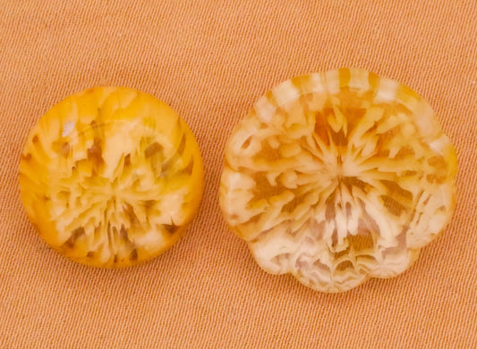 Melted Butter Design in Plastic Vintage Celluloid Button Various 16-20mm