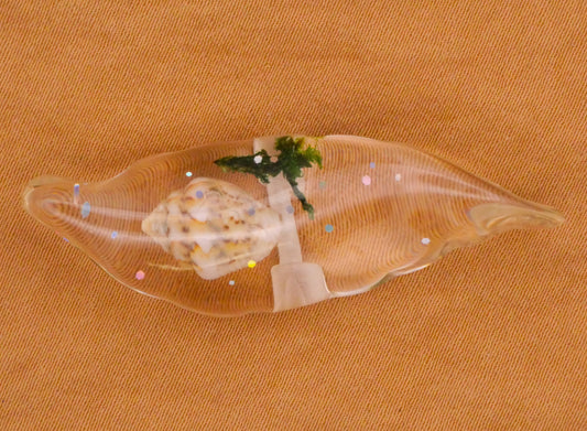 Habitat Real Seashell Plastic Toggle Button 14x44mm