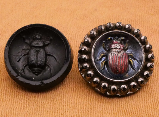 Beetle Insect Bug Black Glass Antique Button Various 16-18mm