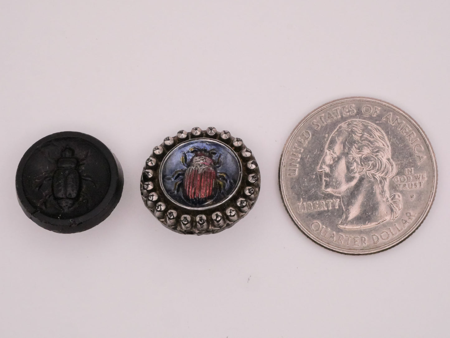 Beetle Insect Bug Black Glass Antique Button Various 16-18mm
