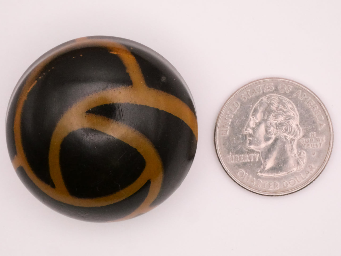 Swirl Horn Design Black Gold Celluloid Plastic Bubble Large Button 38mm
