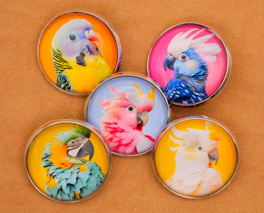 Parrot Tropical Bird Glass Dome Silver Metal Set of Five Buttons 20mm