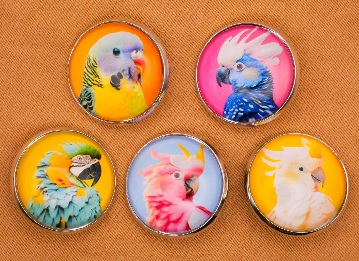 Parrot Tropical Bird Glass Dome Silver Metal Set of Five Buttons 20mm
