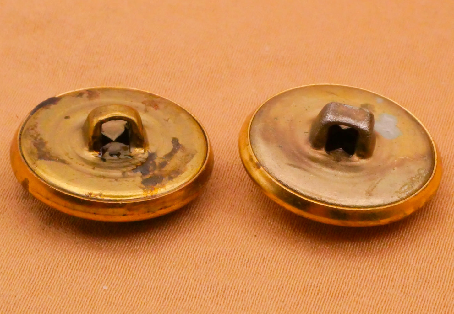 Eagle Olive Branch Metal Button Various 19mm